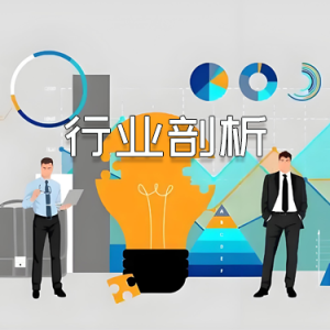 美容连锁行业剖析